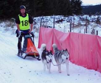 2 Dog Sled 