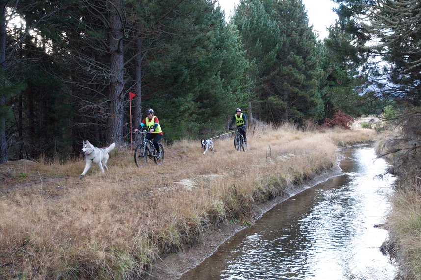 Bikejor Origin 2012